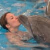 Dolphin Show Phuket Ticket